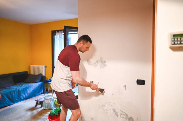Reliable St Clair, MI Mold Remediation Solutions